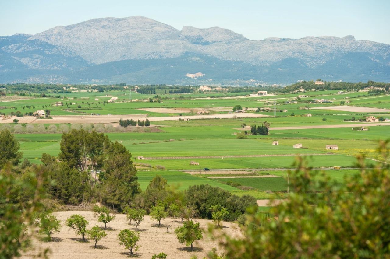 Villa Santa Margalida Eksteriør billede